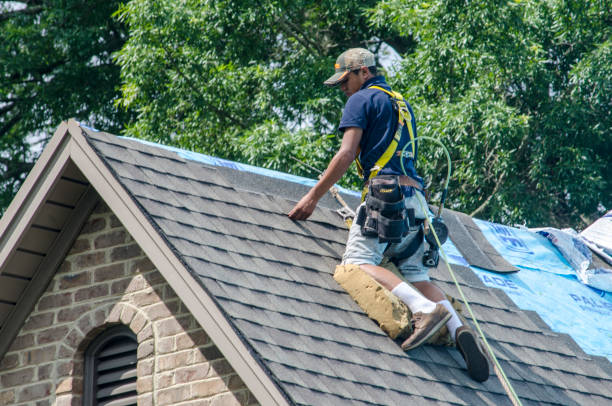 Best Shingle Roofing Installation  in Cottonport, LA